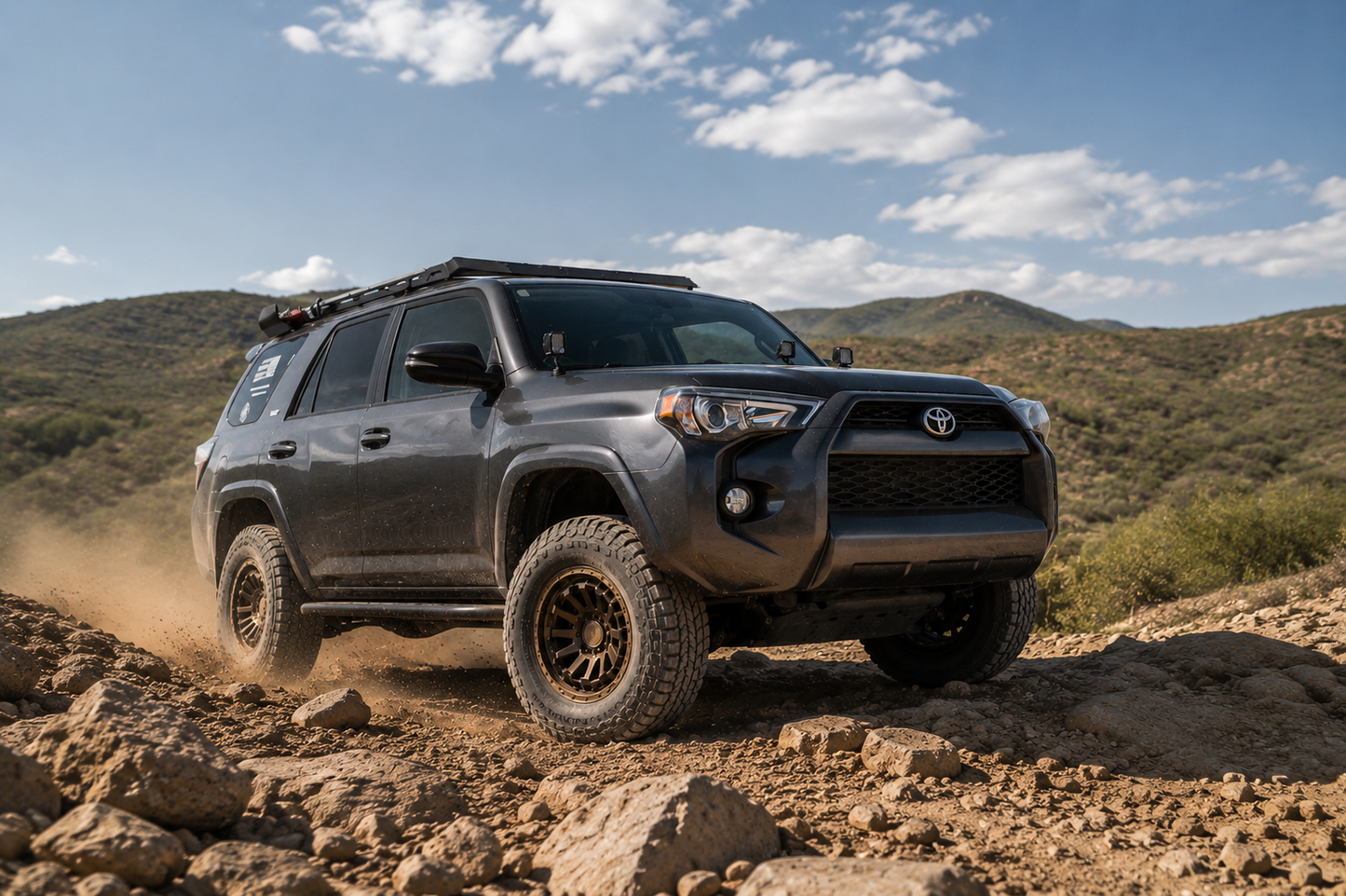 BLACK RHINO - RAID (Matte Bronze)